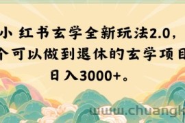 小红书玄学全新玩法2.0，一个可以做到退休的玄学项目，日入3000+【揭秘】