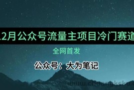 12月份最新公众号流量主小众赛道推荐，30篇以内就能入池！