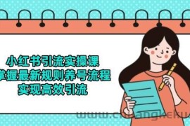 小红书引流实操课，掌握最新规则养号流程，实现高效引流