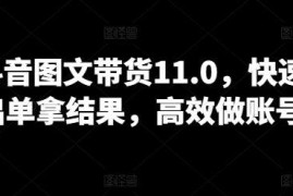 抖音图文带货11.0，快速出单拿结果，高效做账号