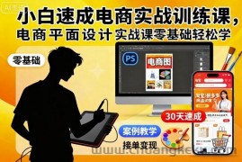 小白速成电商实战训练课，电商平面设计实战课零基础轻松学