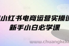 1V1小红书电商运营实操课，新手小白必学课