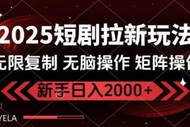 （14429期）2025短剧拉新玩法，无需注册登录，无限0撸，无脑批量操作日入2000+