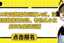 （6475期）2023淘宝数据化-运营 14式，深度解析数据化知识，帮你从小白成长为高级运营