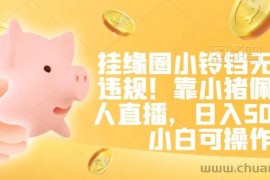 挂缘圈小铃铛无版权违规！靠小猪佩奇无人直播，日入500+，小白可操作【揭秘】