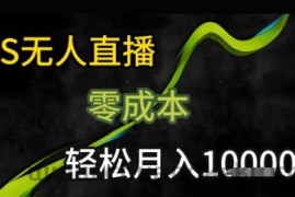 KS无人直播25年最新玩法，只需一部手机，轻松月入1W+【揭秘】