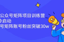 （2405期）蓝海公众号矩阵项目训练营，0粉冷启动，公众号矩阵账号粉丝突破30w