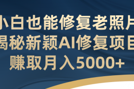 （7072期）小白也能修复老照片！揭秘新颖AI修复项目，赚取月入5000+