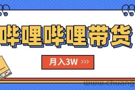 （15597期）B站哔哩哔哩带货秘籍，新风口，抢占红利，单月轻松破万【附SOP手册】