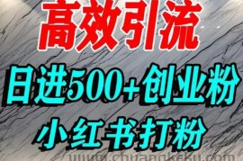 怎么打创业粉？小红书预算3000项目推荐引流精准创业粉，单人操作日引500+精准创业粉