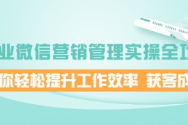 （1996期）企业微信营销管理实操全攻略，助你轻松提升工作效率 获客成交