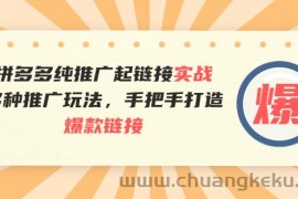 （3649期）拼多多纯推广起链接实战：多种推广玩法，手把手打造爆款链接