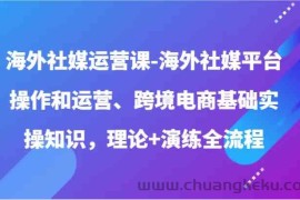 海外社媒运营课-海外社媒平台操作和运营、跨境电商基础实操知识，理论+演练全流程