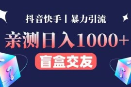 亲测日收益1000+的交友盲盒副业丨有手就行的抖音快手暴力引流