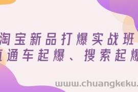 （2816期）淘宝新品打爆实战班，直通车起爆、搜索起爆（价值599元）