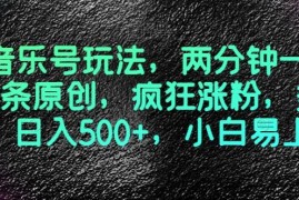 最新音乐号玩法，两分钟一条视频，条条原创，疯狂涨粉，多种变现，日入500+，小白易上手【揭秘】