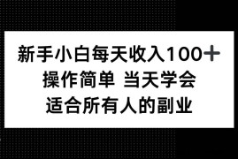 （15937期）新手小白每天收入100+，操作简单 当天学会 ，适合所有人的副业