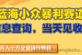 蓝海小众暴利赛道，信息查询，当天见收益，不讲玄学，7天搞了2万+