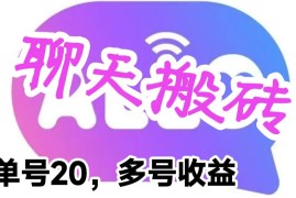 （6376期）最新蓝海聊天平台手动搬砖，单号日入20，多号多撸，当天见效益