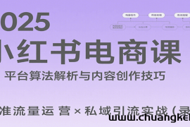2025小红书电商课：解析算法，创作高转化内容，助力卖家获取流量实现变现（录音）