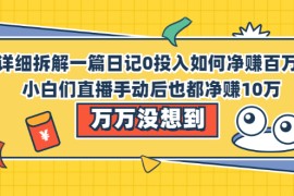 （2063期）详细拆解一篇日记0投入如何净赚百万，小白们直接复制后也都净赚10万