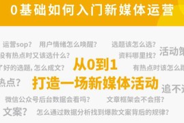 （4291期）新媒体运营系列课，课程零基础入门，解锁高薪职业必备的四项技能