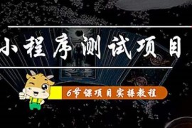 （4226期）小程序测试项目 从星图 搞笑 网易云 实拍 单品爆破 抖音抖推猫小程序变现