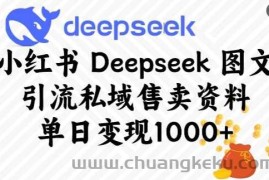 小红书Deepseek图文引流私域售卖资料，单日变现多张