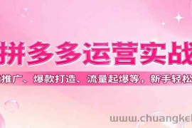 拼多多运营实战，付费推广、爆款打造、流量起爆等，新手轻松起店