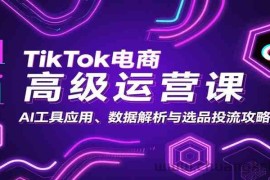 TikTok电商高级运营课：AI工具应用、数据解析与选品投流攻略