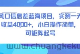 风口信息差蓝海项目，实测一天收益4k+，小白操作简单，可矩阵起号
