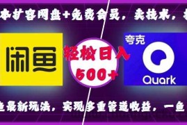 0成本扩容网盘+免费会员，卖技术，拉新，咸鱼最新玩法，实现多重管道收益，一鱼多吃，轻松日入500+