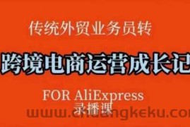 跨境电商速卖通运营课，​运营方法论+后台实操，逻辑清晰