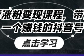 抖音涨粉变现课程，带你做一个赚钱的抖音号