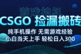 8月最新游戏搬砖，CSGO纯挂G，不需要玩游戏，实现真挂G，月入1W+【揭秘】