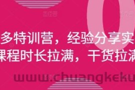 拼多多特训营，经验分享实操，课程时长拉满，干货拉满(更新25年4月)