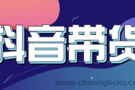 （3133期）抖音直播带货入门必学教程，教快速上手抖音直播带货（13节课）