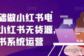 零基础做小红书电商，小红书无货源，小红书系统运营