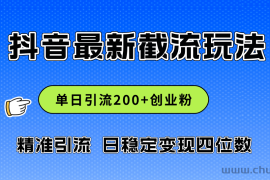 （12197期）2024年抖音评论区最新截流玩法，日引200+创业粉，日稳定变现四位数实操…