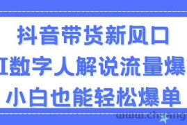 （11401期）抖音带货新风口，AI数字人解说，流量爆炸，小白也能轻松爆单