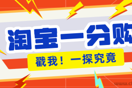年底赚钱冲刺季，靠谱高单价项目，淘宝一分购一单13元，小白也能做！