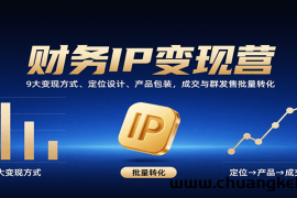 财务IP变现营：9大变现方式、定位设计、产品包装，成交与群发售批量转化