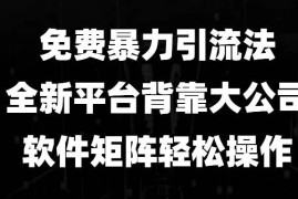 （13745期）免费暴力引流法，全新平台，背靠大公司，软件矩阵轻松操作