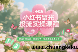 小红书聚光投流实操课程，聚光广告投放、数据分析、做高效低成本获客