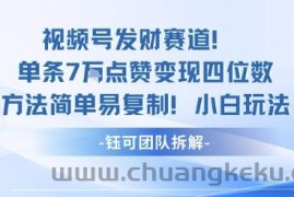 视频号发财赛道单条7W点赞变现四位数方法简单易复制小白玩法