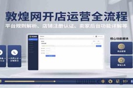 敦煌网开店运营全流程：平台规则解析、店铺注册认证、卖家后台功能详解等