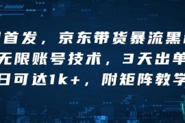 全网首发，京东带货暴流黑科技，无限账号技术，3天出单，单日可达1k+，附矩阵教学【揭秘】