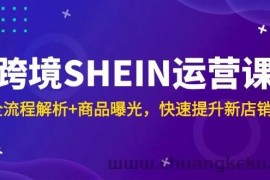 （14832期）跨境SHEIN运营课，全流程解析+商品曝光，快速提升新店销量
