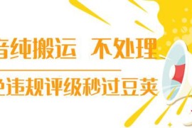 （1394期）抖音纯搬运 不处理 小技巧，30秒发一个作品，避免违规评级秒过豆荚(无水印)