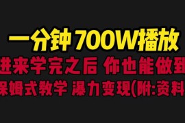 （6538期）一分钟700W播放 进来学完 你也能做到 保姆式教学 暴力变现（教程+83G素材）